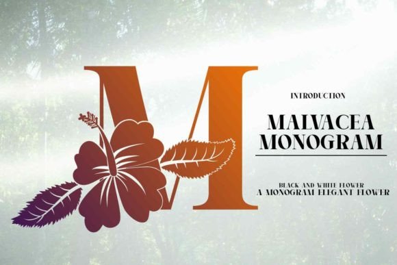 Malvacea: A Font That Elevates Your Brand